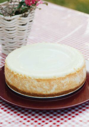 Plano best NY style Cheesecake