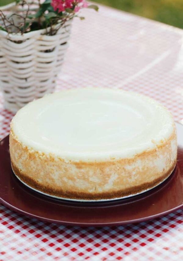 Plano best NY style Cheesecake